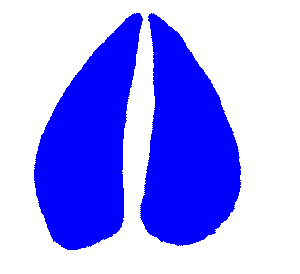 300x274 Pig Hoof Print Clip Art