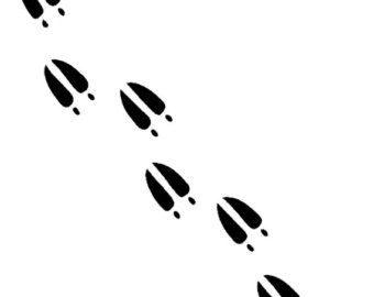 340x270 Reindeer Clipart Track