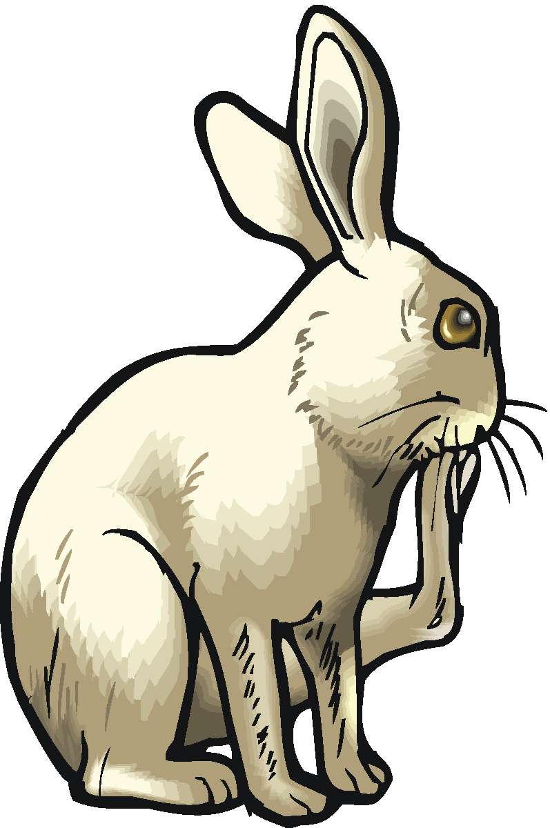 797x1200 Rabbit Clipart Rabbit Animals Clip Art Downloadclipart Org