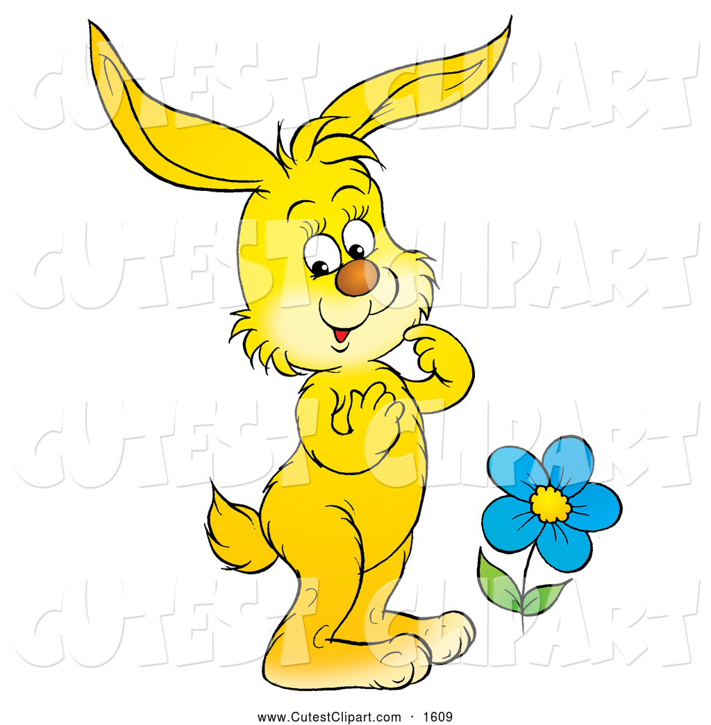 1024x1044 Royalty Free Stock Cute Designs Of Bunny Rabbits