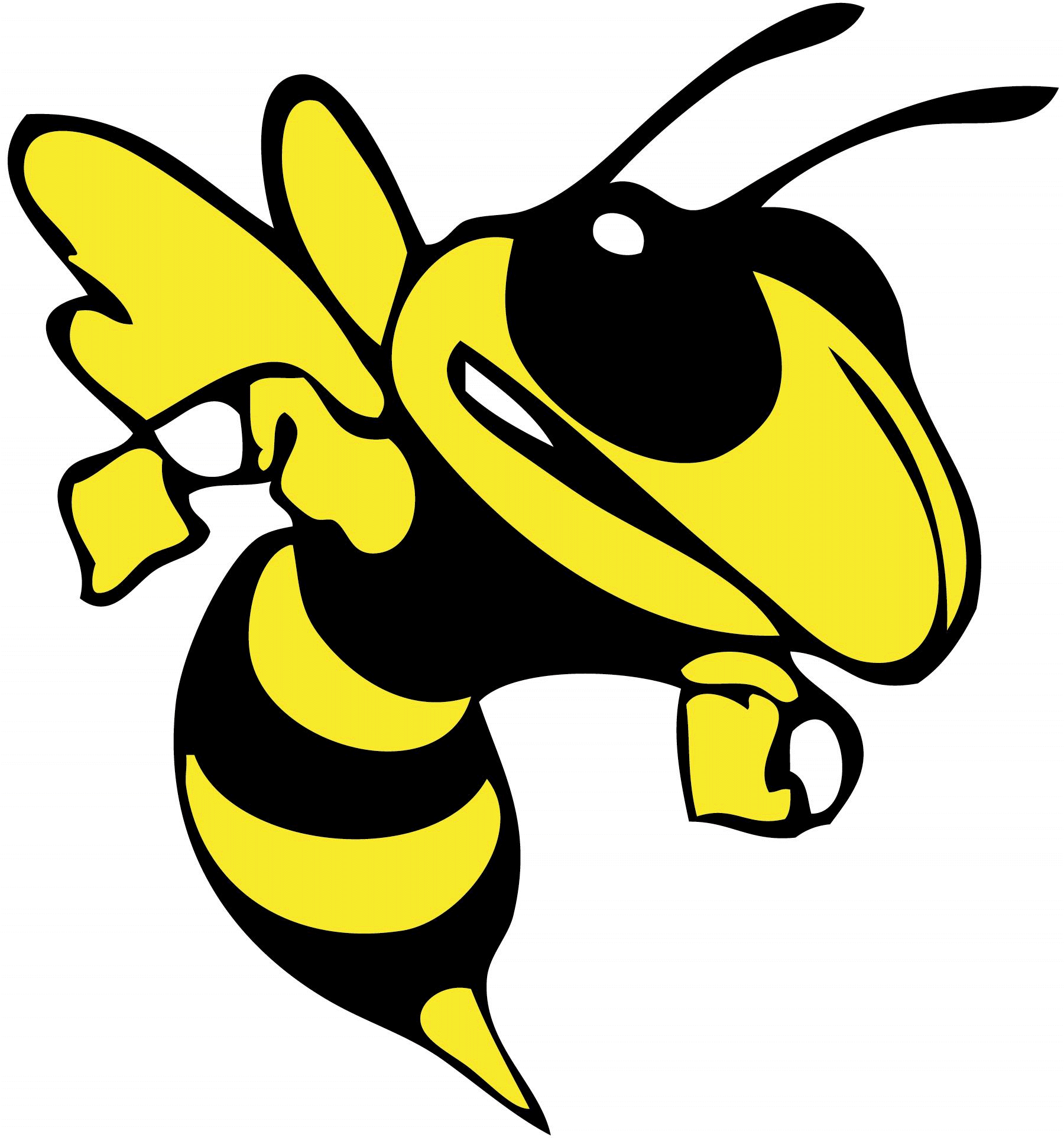 1800x1926 Free Hornet Clipart Image