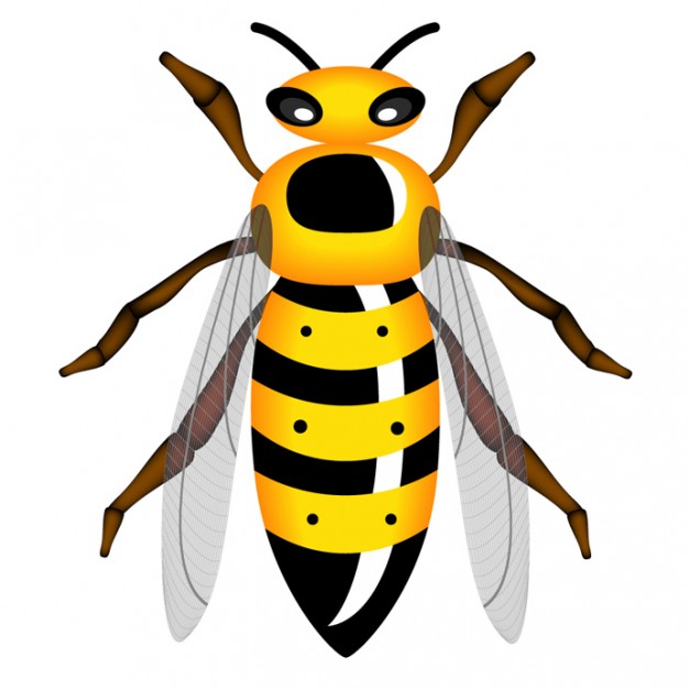 626x626 Top 84 Hornet Clip Art