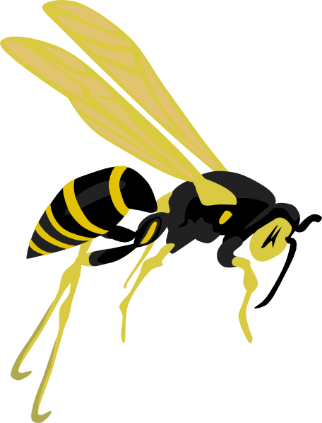 456x598 Flying Wasp Clip Art Free Vector 4vector