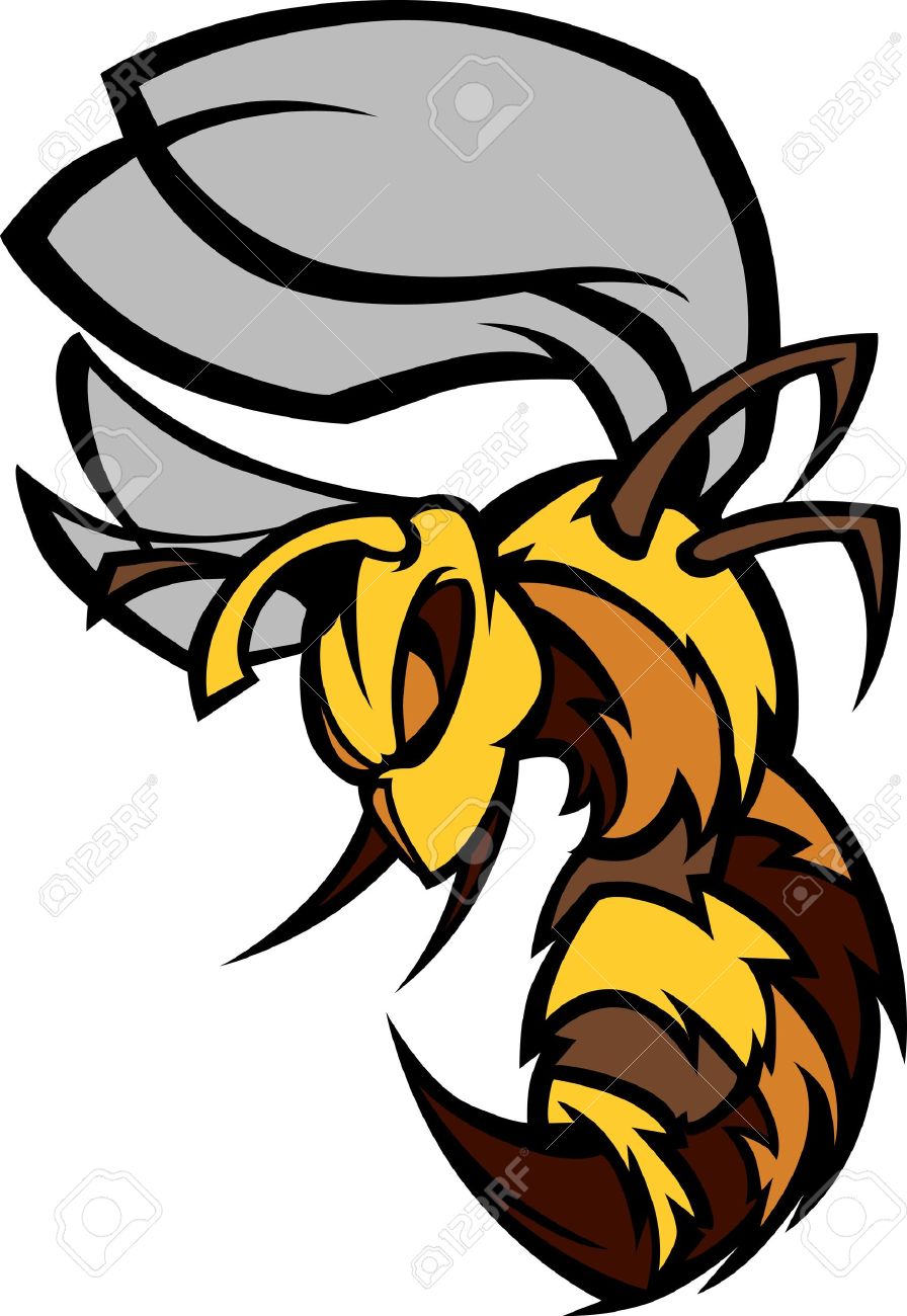 896x1300 276 Hornet Mascot Stock Vector Illustration And Royalty Free