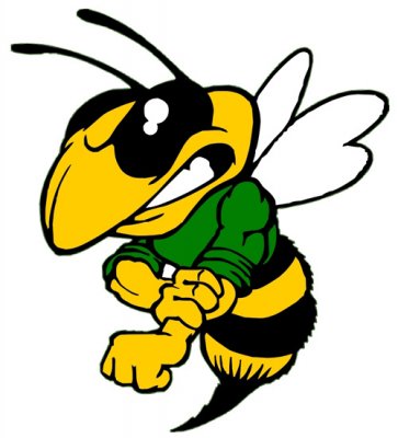 363x400 Mad Hornet Mascot