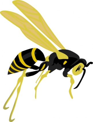 324x425 Hornet Clipart
