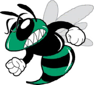 300x272 Lady Hornets Outlast Sharks Behind Sereda's Triple Double, 25 27