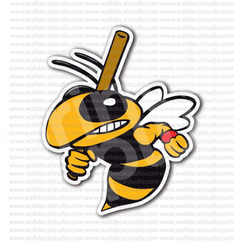 800x800 Photo Collection Sticker Angry Hornet
