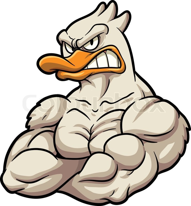 741x800 Strong Cartoon Duck Mascot. Vector Cliprt Illustration.ll In