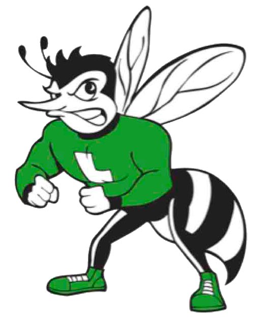 515x626 Lincoln Hornets (@thehivefootball) Twitter