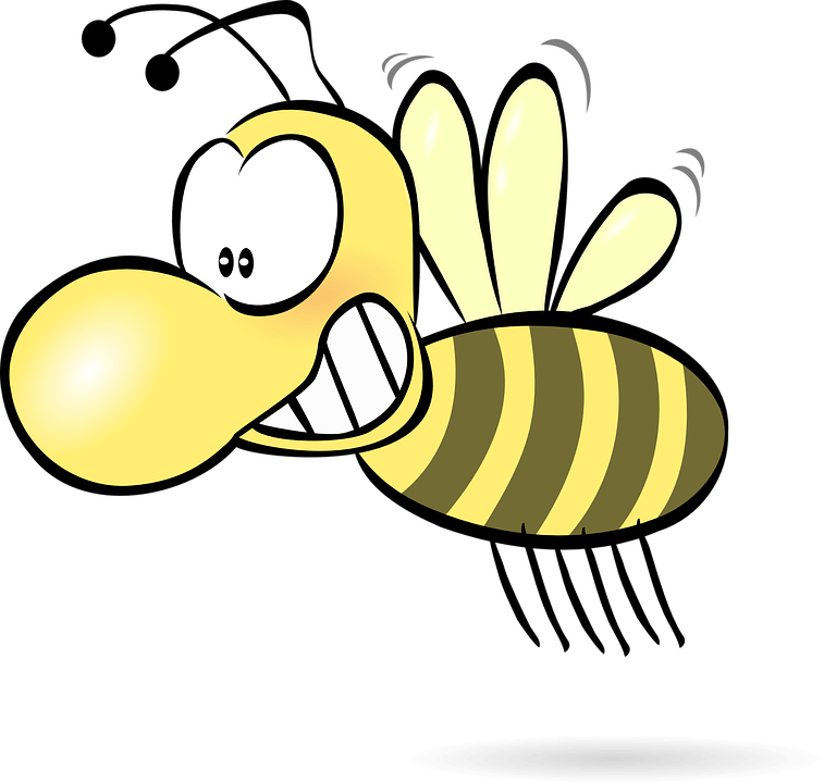 757x720 Bees Wasps Hornets, What's The Difference!