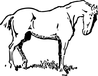 400x310 Draught Horse Clipart Black And White