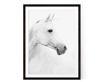 340x270 White Horse Print Etsy
