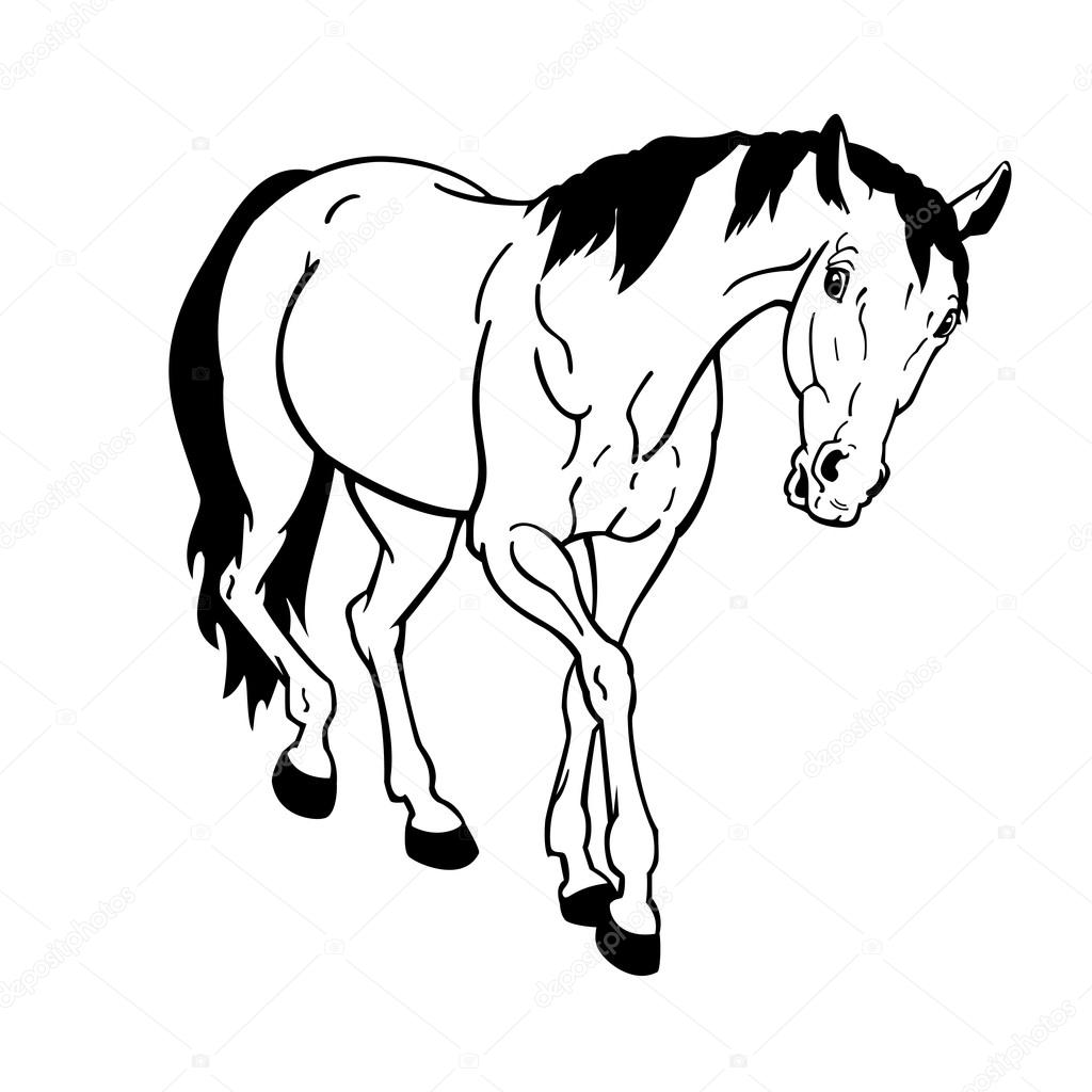 1024x1024 Horse Black White Isolated Stock Vector Insima