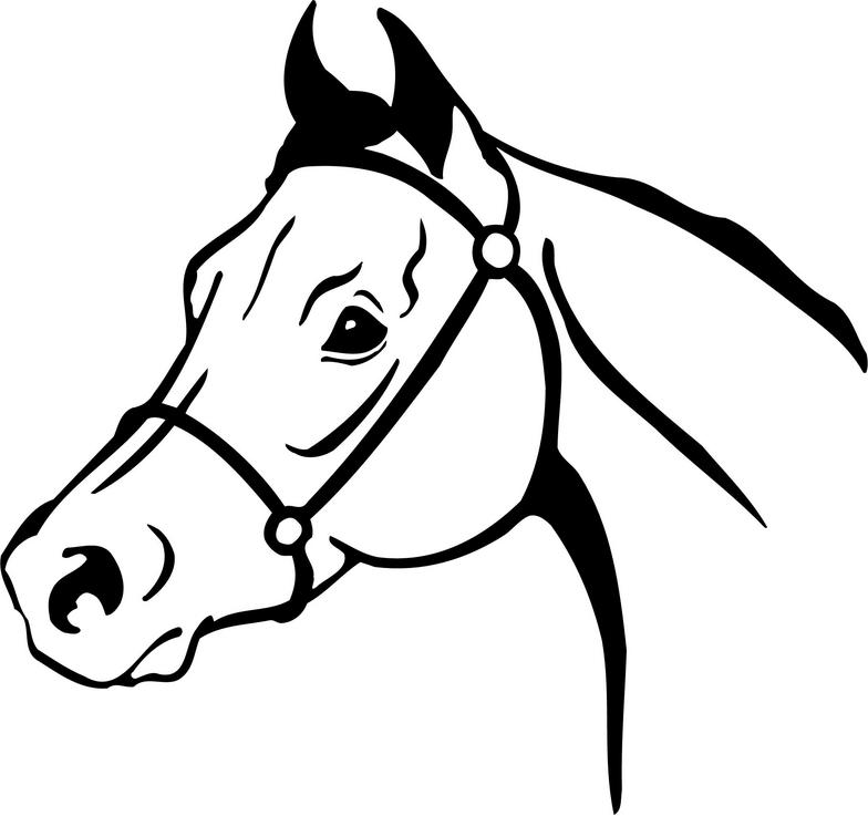 784x737 Horse Head Clip Art Vectors Download Free Vector Art Image