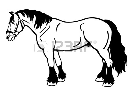 450x318 Jumping Horse,black And White Picture Isolated On White Background