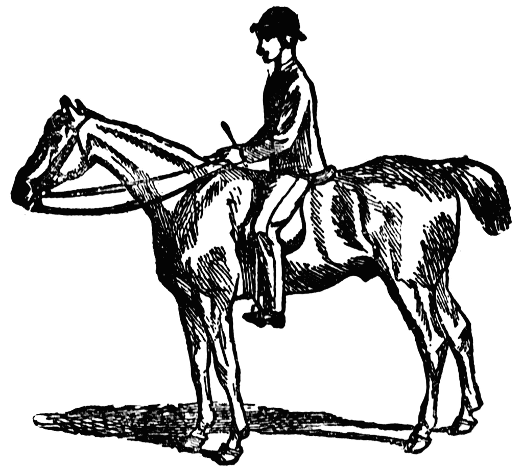 1024x925 Horse Riding Clipart Black And White