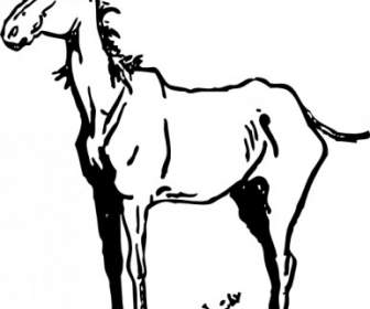 336x280 Black And White Horse Vector Vector Misc Free Vector Free Download