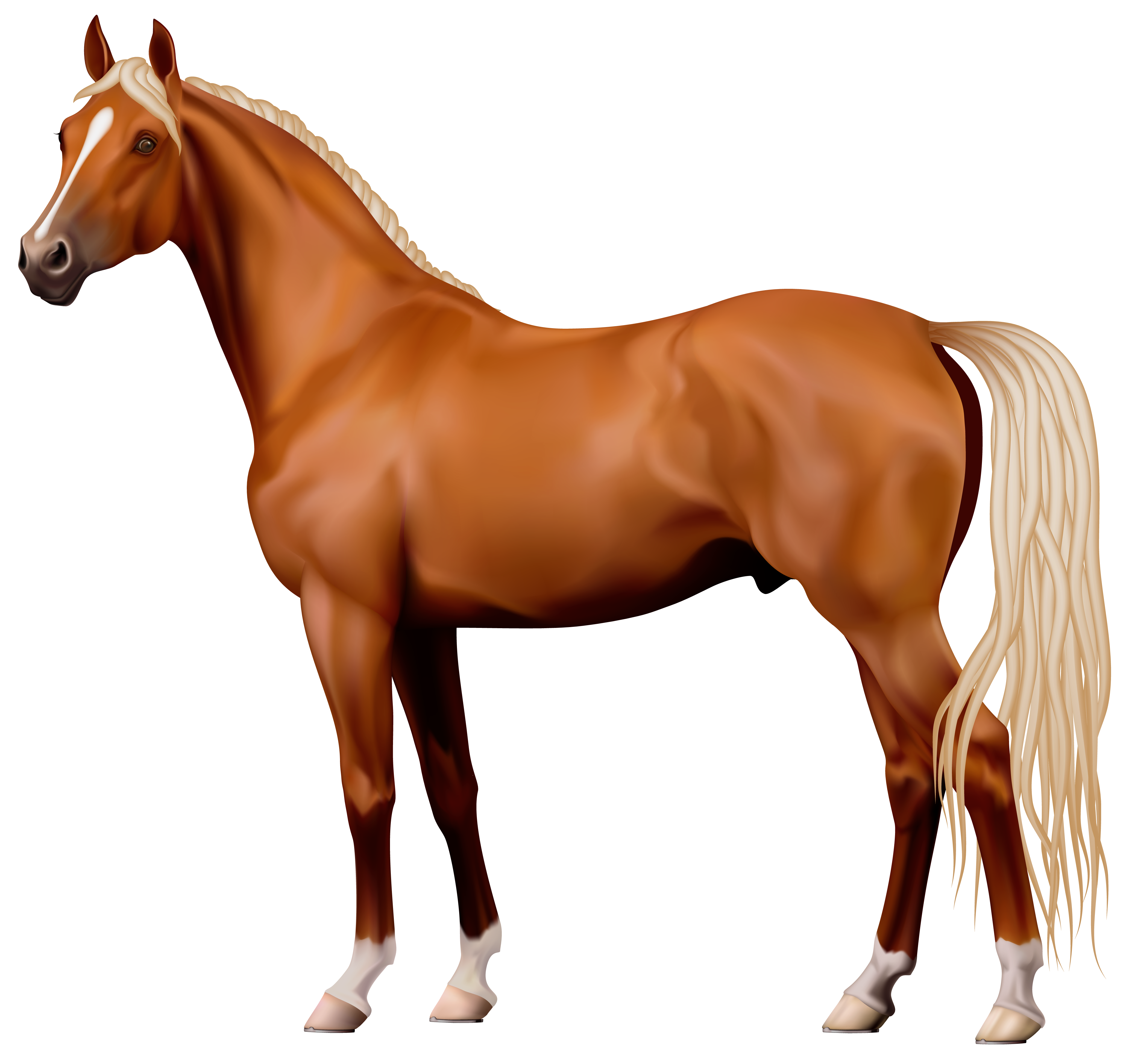 4120x3894 Brown Horse Png Clipart