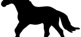 272x125 Free Horse Clipart Black And White Best Animal, Black Amp White Clip
