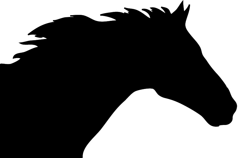 800x531 Horse Clipart Printable