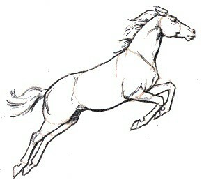 293x261 Horse Jumping Sketch Sketching Ideas Sketches