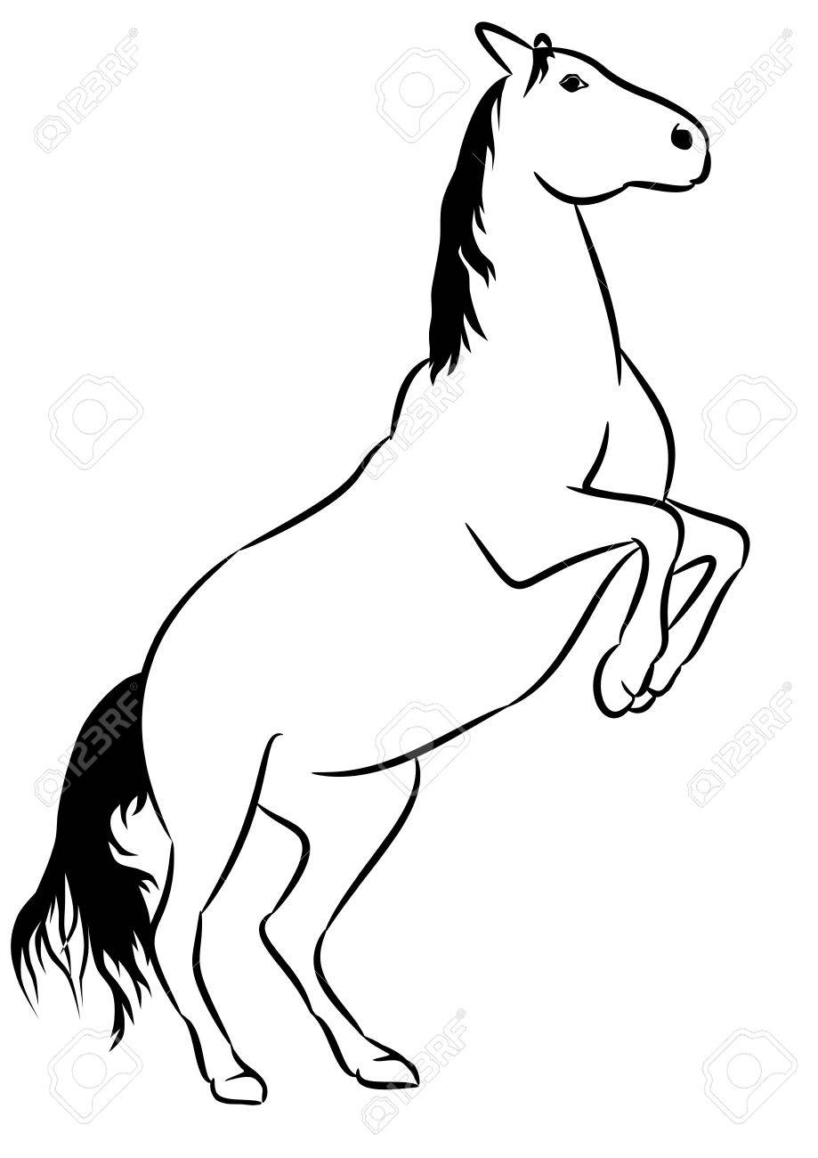 919x1300 Photos Horse Line Drawing,