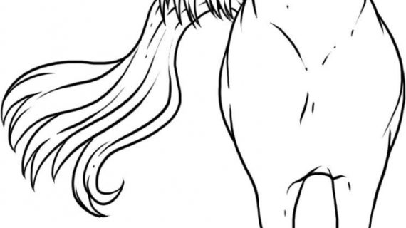 570x320 Easy Horse Drawing How To Draw A Horse How To Draw Horses Horse