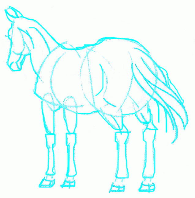 637x645 Exam Guide Online