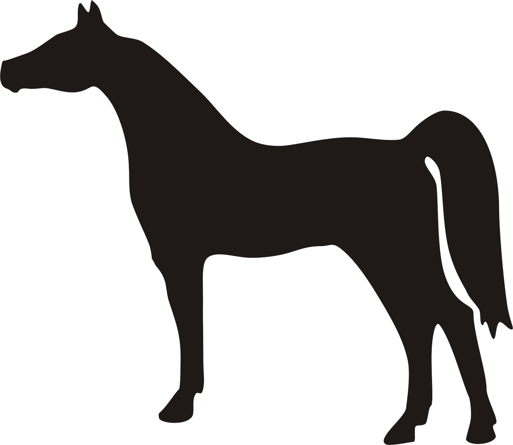 1800x1562 Draught Horse Clipart Face