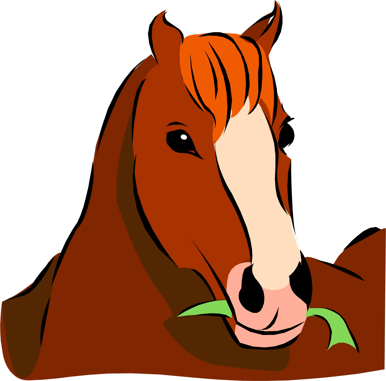 1488x1467 Eat Grass Horse Head Clipart