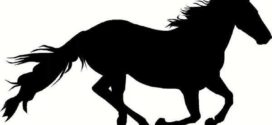 272x125 Best Horse Silhouette Ideas On Horse Crafts, Horse