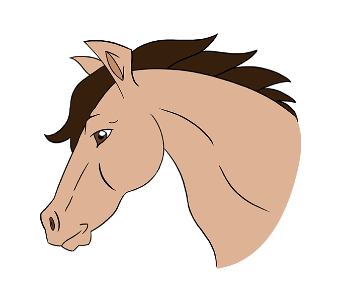 678x600 Horse Head Cartoon Collection