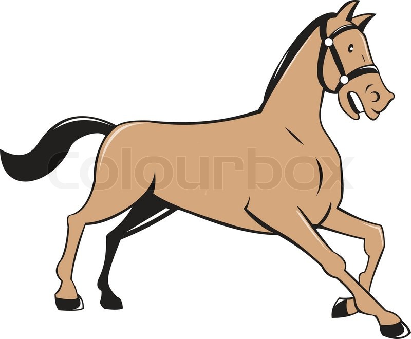 800x660 Illustration Of A Horse Kneeling Down Viewed From The Side Set