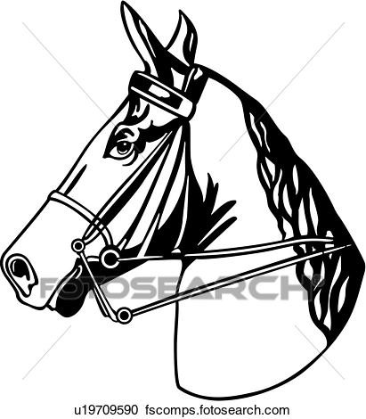 411x470 Clipart Of , Animal, Breeds, Head, Horse, Tack, U19709590