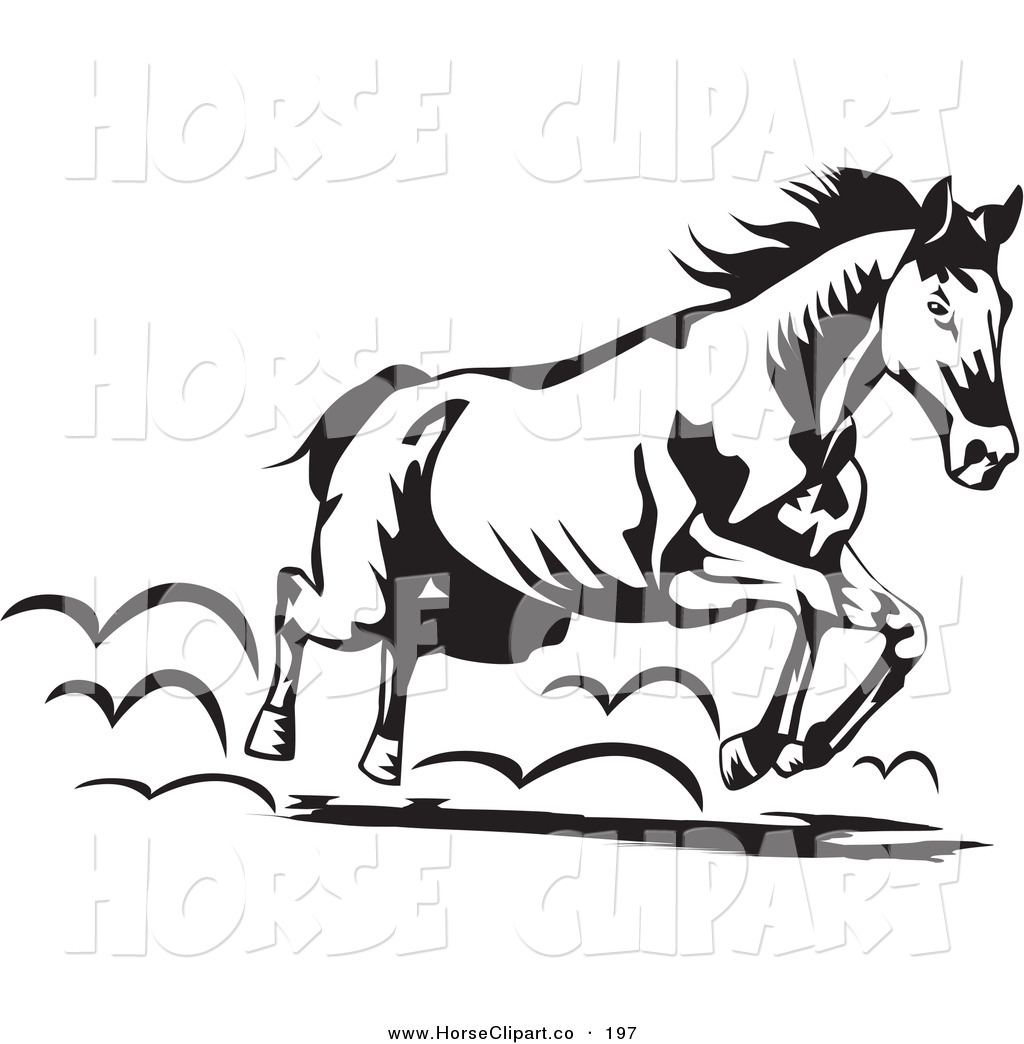 1024x1044 Horse Black And White Clipart
