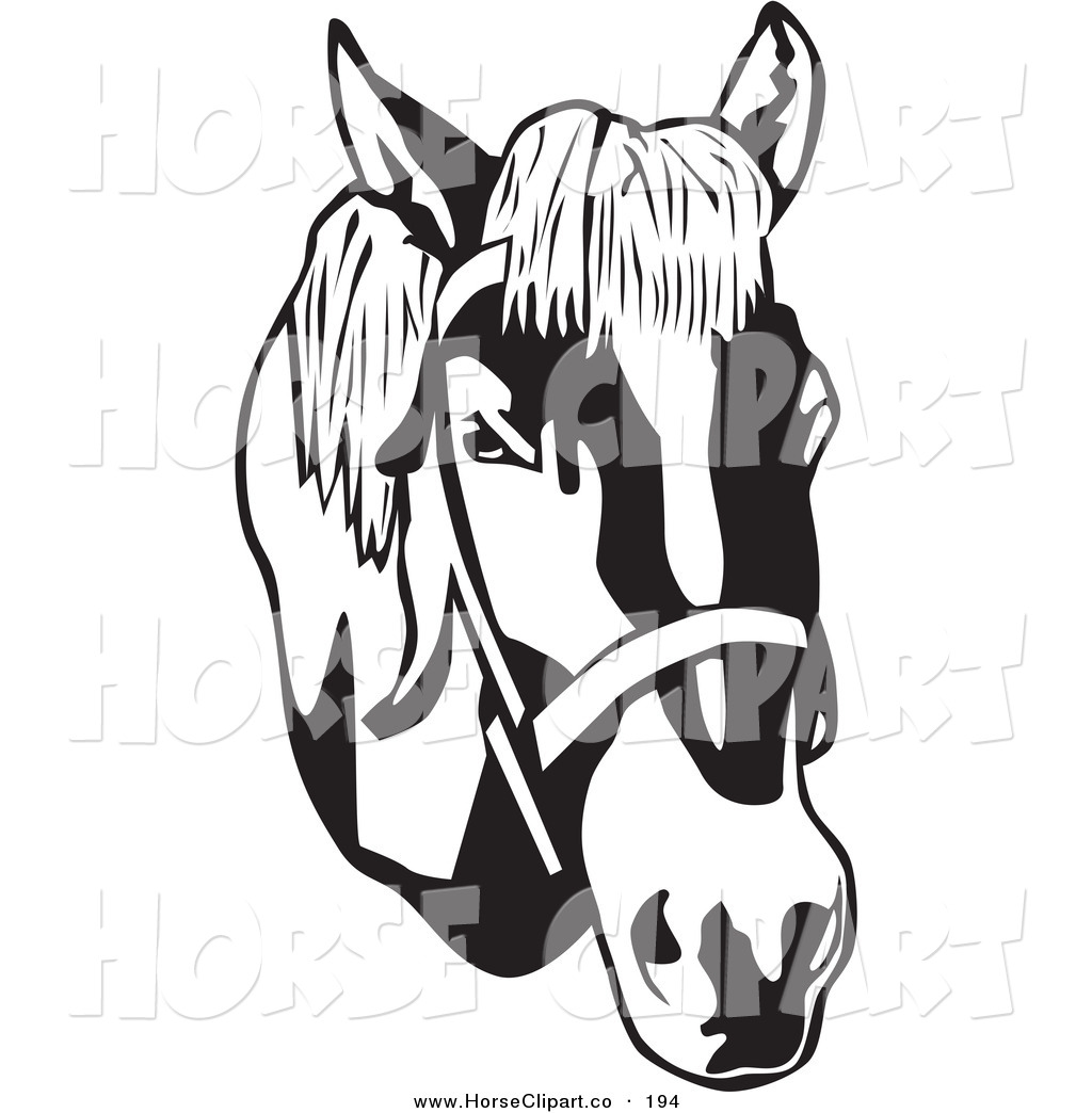 1024x1044 Clip Art Of A Black And White Bridled Horse Head Facing Right By