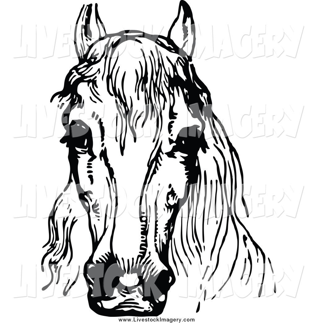 1024x1044 Horses Black And White Clipart