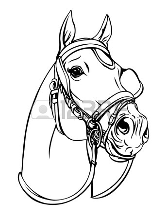 344x450 13,855 Horse Head Stock Vector Illustration And Royalty Free Horse