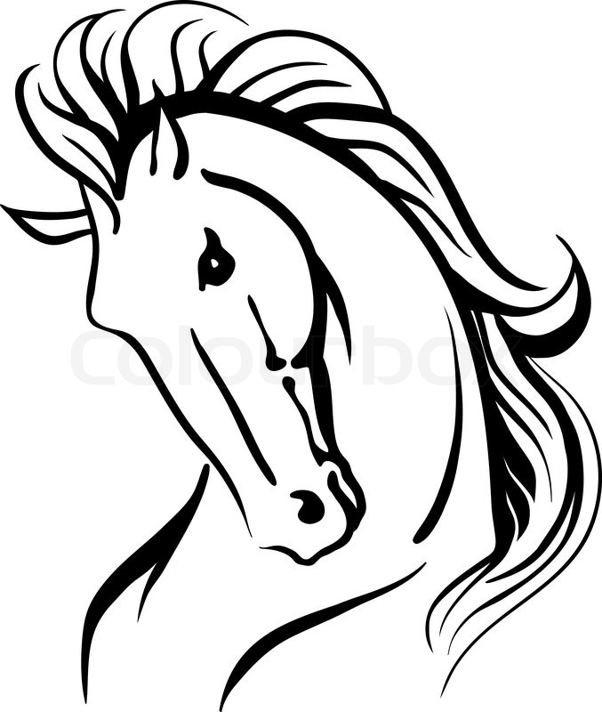 677x800 Stylised Drawing Of A Wild Horse Stock Vector Colourbox