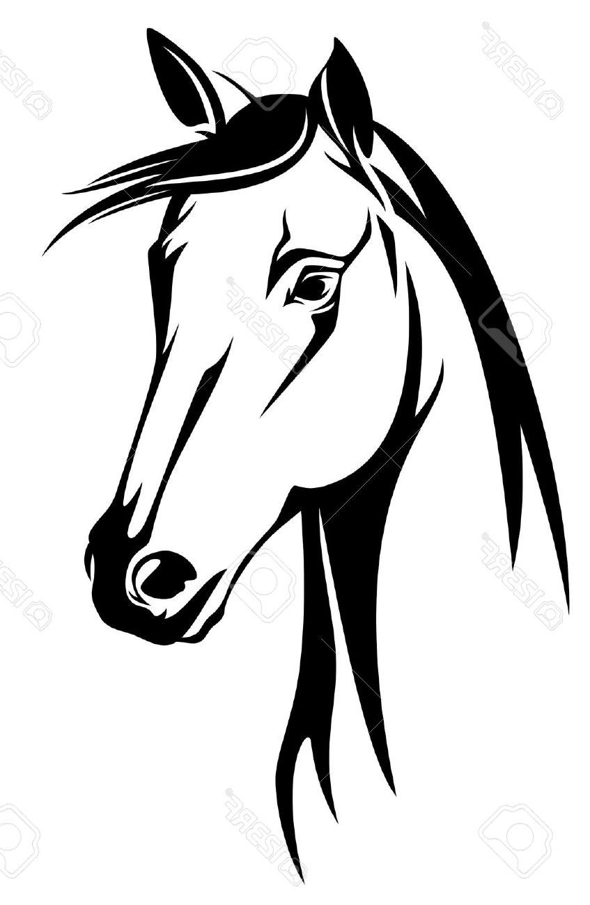 847x1300 Unique Horse Head Black And White Design Stock Vector Drawing