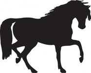 187x150 Horse Vector