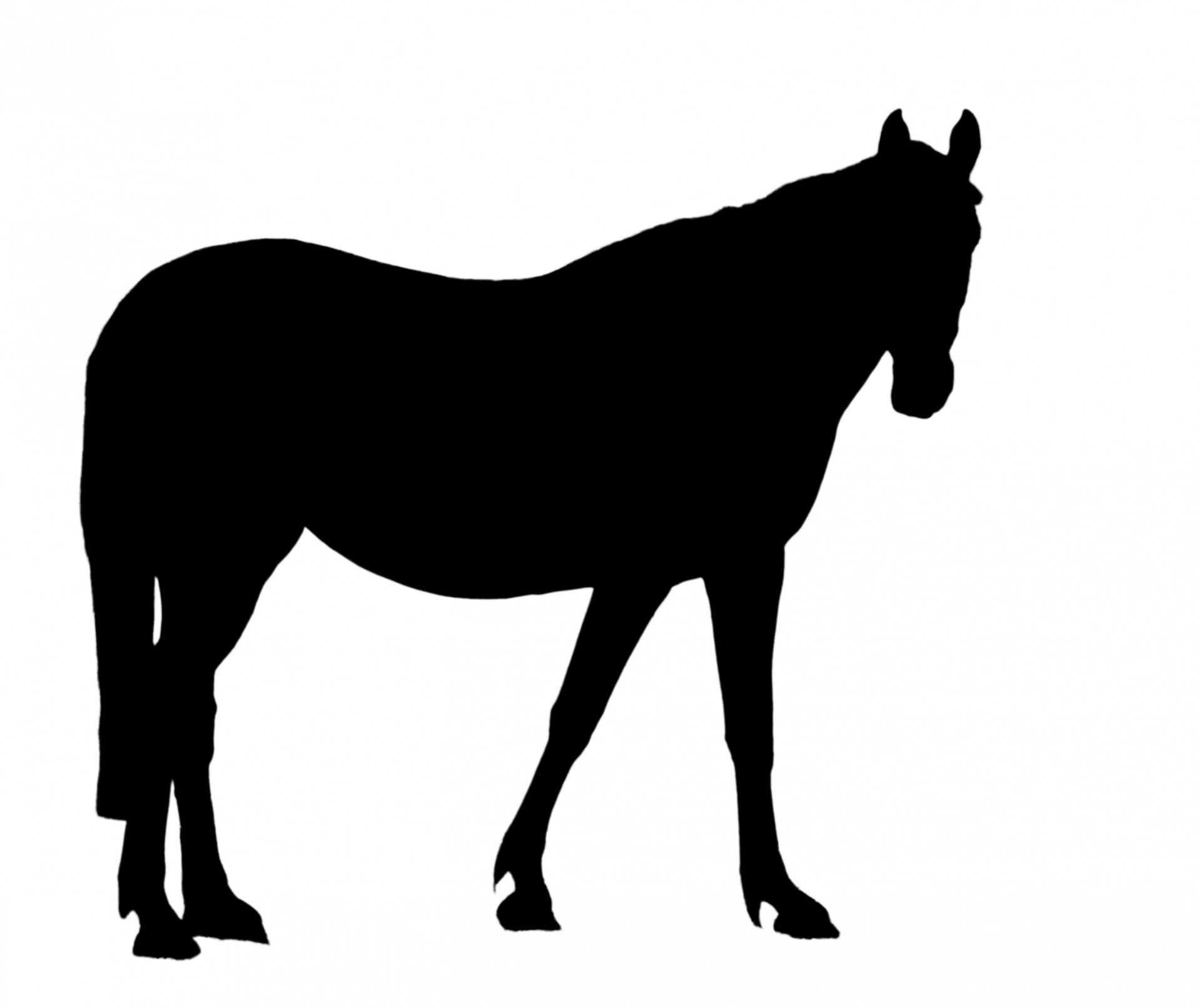 1920x1612 Black Horse Clipart, Explore Pictures