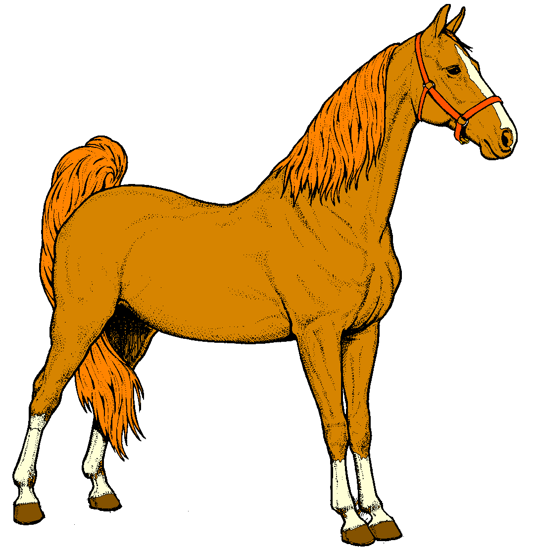 1085x1112 Horse Clip Art