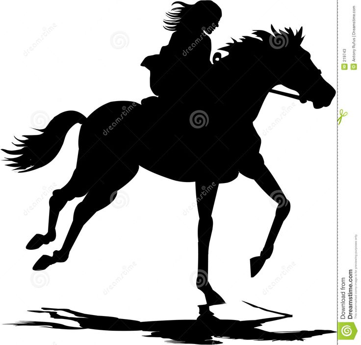 736x703 34 Best Line Art Images Horses, Bedroom And Black