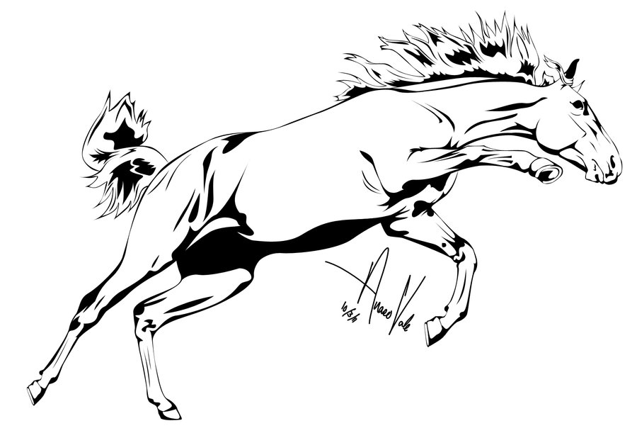 900x611 Horse Outline