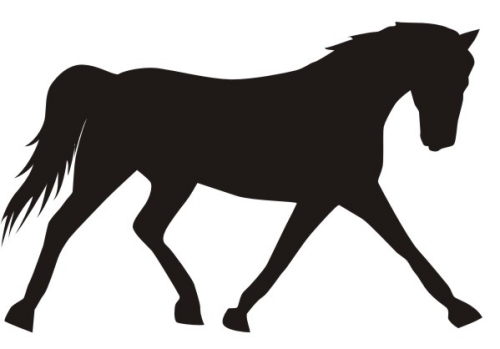 500x349 Stallion Clipart Horse Outline