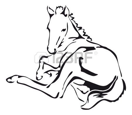 450x392 Black And White Outlines Of A Foal Royalty Free Cliparts, Vectors
