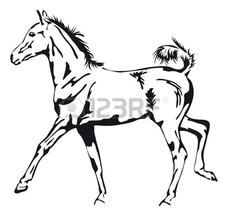 450x425 Black And White Outlines Of Horse Royalty Free Cliparts, Vectors