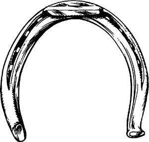 300x286 Horseshoe